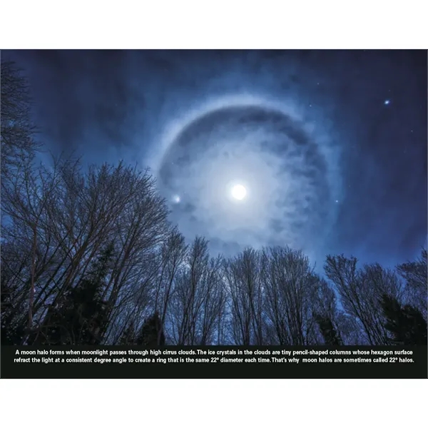 Good Value™ The Power of Nature - Stapled Calendar - Good Value™ The Power of Nature - Stapled Calendar - Image 29 of 31