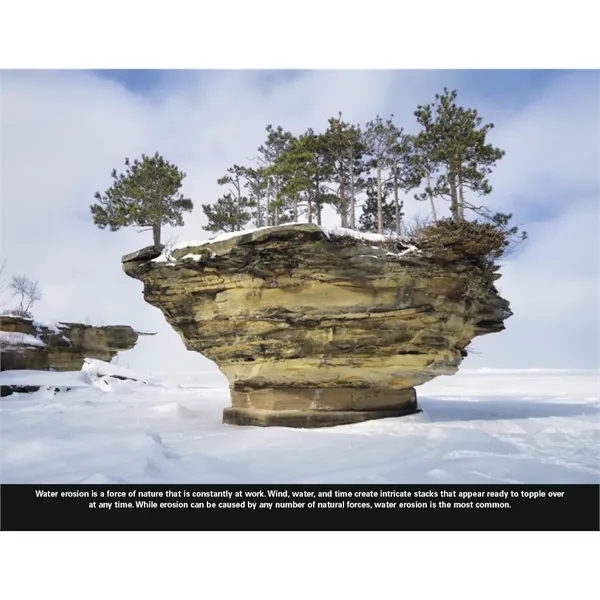 Good Value™ The Power of Nature - Stapled Calendar - Good Value™ The Power of Nature - Stapled Calendar - Image 31 of 31