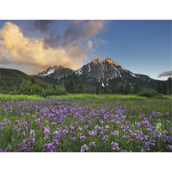 Good Value™ Landscapes of America - Window Calendar - Good Value™ Landscapes of America - Window Calendar - Image 26 of 29