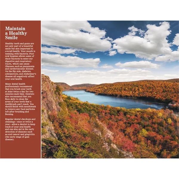 Good Value™ Healthy Living - Window Calendar - Good Value™ Healthy Living - Window Calendar - Image 31 of 33