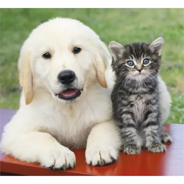 Good Value™ Puppies & Kittens - Mini Calendar - Good Value™ Puppies & Kittens - Mini Calendar - Image 19 of 30