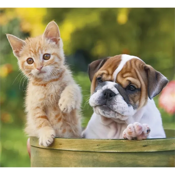 Good Value™ Puppies & Kittens - Mini Calendar - Good Value™ Puppies & Kittens - Mini Calendar - Image 21 of 30