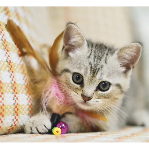 Good Value™ Puppies & Kittens - Mini Calendar - Good Value™ Puppies & Kittens - Mini Calendar - Image 23 of 30