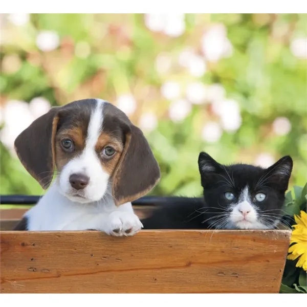 Good Value™ Puppies & Kittens - Mini Calendar - Good Value™ Puppies & Kittens - Mini Calendar - Image 29 of 30