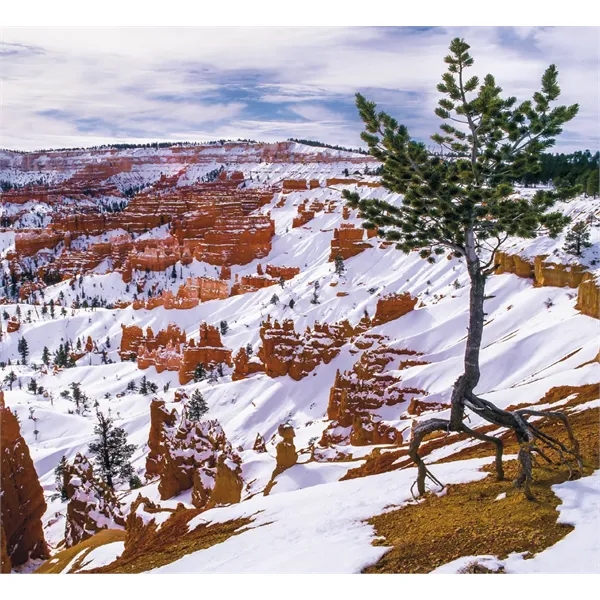 Good Value™ Landscapes of America - Mini Calendar - Good Value™ Landscapes of America - Mini Calendar - Image 19 of 30