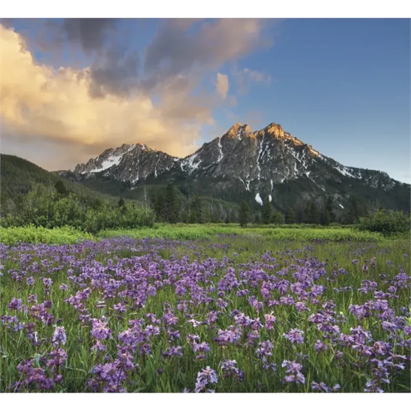 Good Value™ Landscapes of America - Mini Calendar - Good Value™ Landscapes of America - Mini Calendar - Image 27 of 30