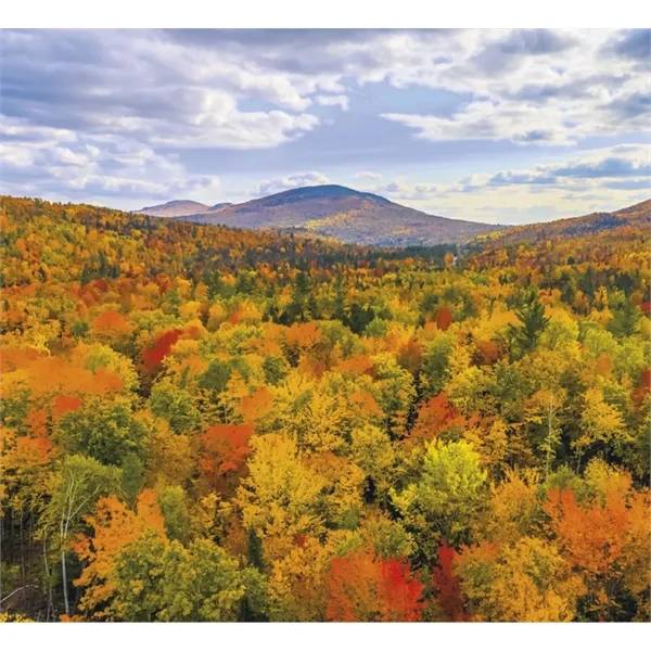 Good Value™ Landscapes of America - Mini Calendar - Good Value™ Landscapes of America - Mini Calendar - Image 29 of 30