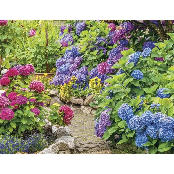 Products Gardens Appointment Calendar - Stapled - Products Gardens Appointment Calendar - Stapled - Image 19 of 31