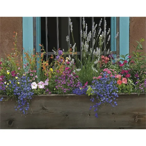 Products Gardens Appointment Calendar - Stapled - Products Gardens Appointment Calendar - Stapled - Image 22 of 31