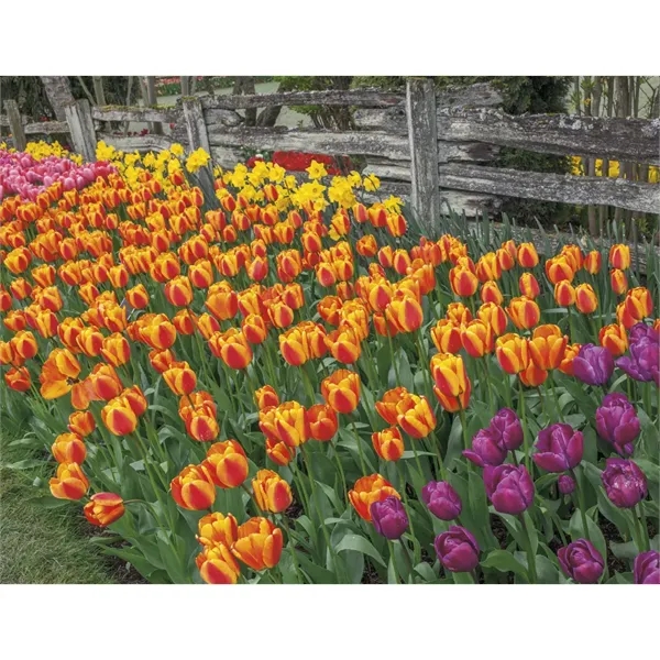 Products Gardens Appointment Calendar - Stapled - Products Gardens Appointment Calendar - Stapled - Image 23 of 31