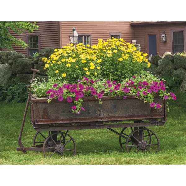 Products Gardens Appointment Calendar - Stapled - Products Gardens Appointment Calendar - Stapled - Image 25 of 31