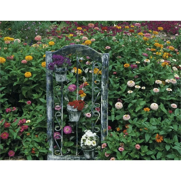 Products Gardens Appointment Calendar - Stapled - Products Gardens Appointment Calendar - Stapled - Image 27 of 31