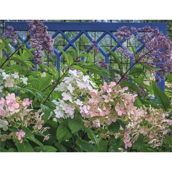 Products Gardens Appointment Calendar - Stapled - Products Gardens Appointment Calendar - Stapled - Image 30 of 31