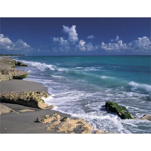 Products Catholic Reflections Appointment Calendar - Stapled - Products Catholic Reflections Appointment Calendar - Stapled - Image 21 of 31