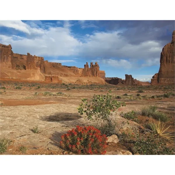 Products Catholic Reflections Appointment Calendar - Stapled - Products Catholic Reflections Appointment Calendar - Stapled - Image 22 of 31