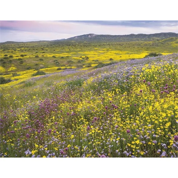 Products Catholic Reflections Appointment Calendar - Stapled - Products Catholic Reflections Appointment Calendar - Stapled - Image 24 of 31