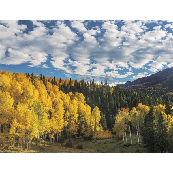 Products Catholic Reflections Appointment Calendar - Stapled - Products Catholic Reflections Appointment Calendar - Stapled - Image 29 of 31