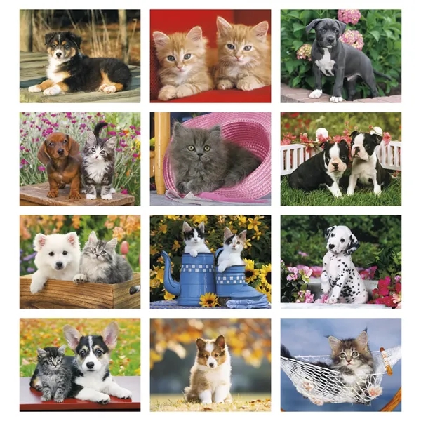 Products Four Paws Appointment Calendar - Stapled - Products Four Paws Appointment Calendar - Stapled - Image 11 of 35