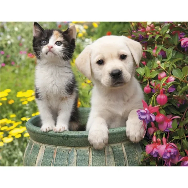 Products Four Paws Appointment Calendar - Stapled - Products Four Paws Appointment Calendar - Stapled - Image 24 of 35