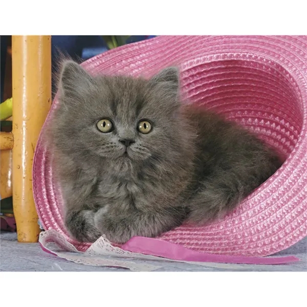 Products Four Paws Appointment Calendar - Stapled - Products Four Paws Appointment Calendar - Stapled - Image 28 of 35