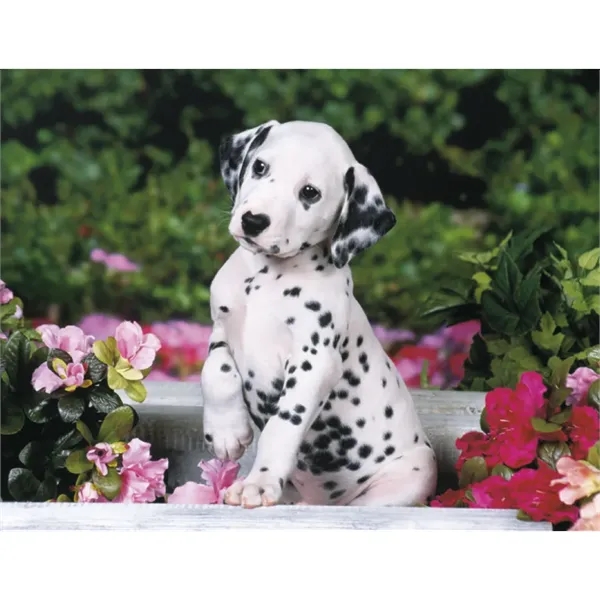 Products Four Paws Appointment Calendar - Stapled - Products Four Paws Appointment Calendar - Stapled - Image 31 of 35