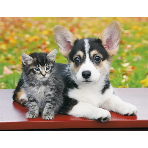 Products Four Paws Appointment Calendar - Stapled - Products Four Paws Appointment Calendar - Stapled - Image 33 of 35