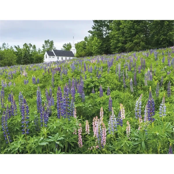 Products New England Appointment Calendar - Stapled - Products New England Appointment Calendar - Stapled - Image 22 of 31