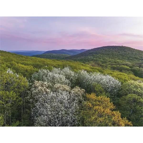 Products New England Appointment Calendar - Stapled - Products New England Appointment Calendar - Stapled - Image 24 of 31