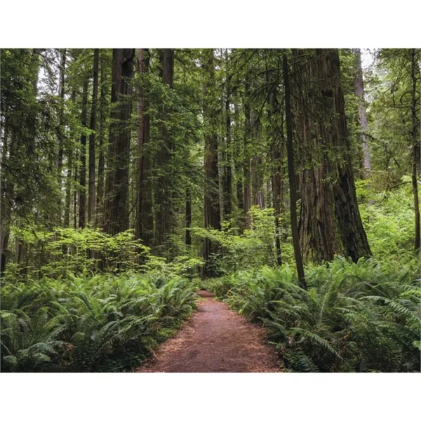 Products California Appointment Calendar - Stapled - Products California Appointment Calendar - Stapled - Image 28 of 31