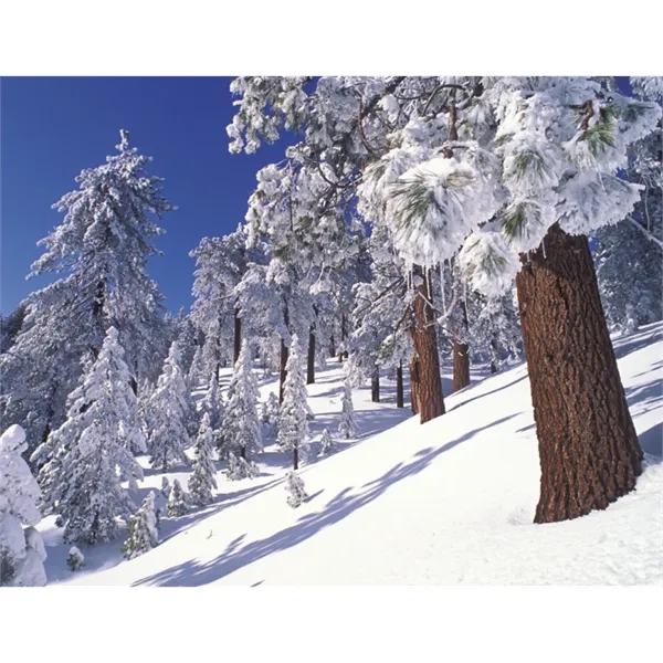 Products California Appointment Calendar - Stapled - Products California Appointment Calendar - Stapled - Image 31 of 31