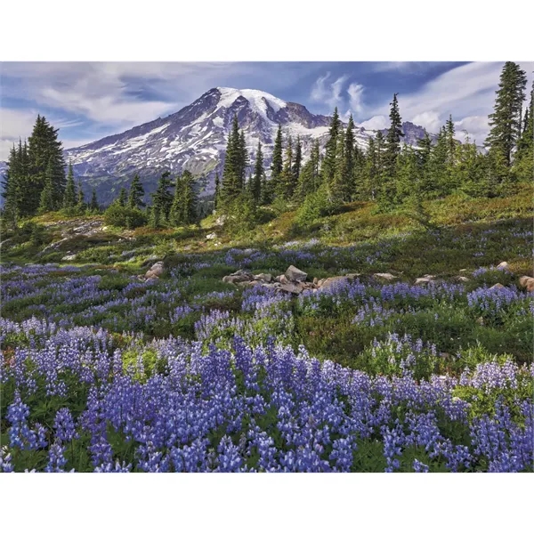 Products Contemplations Appointment Calendar - Stapled - Products Contemplations Appointment Calendar - Stapled - Image 20 of 31