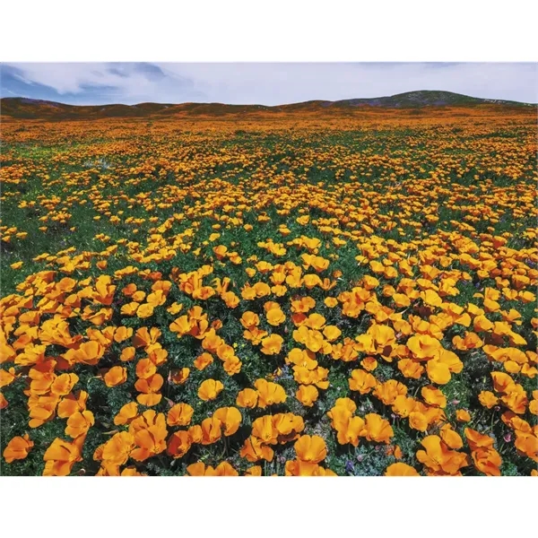 Products Contemplations Appointment Calendar - Stapled - Products Contemplations Appointment Calendar - Stapled - Image 23 of 31