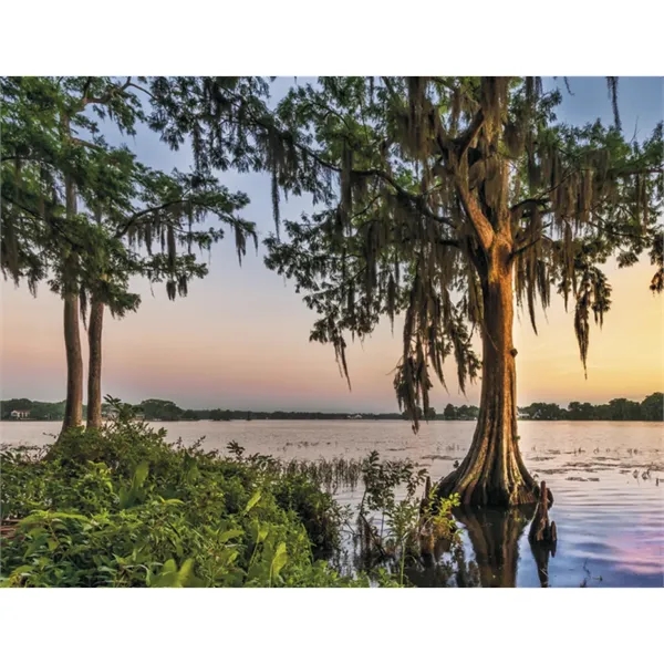 Products Contemplations Appointment Calendar - Stapled - Products Contemplations Appointment Calendar - Stapled - Image 25 of 31