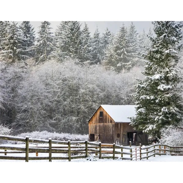 Products America's Bounty Appointment Calendar - Stapled - Products America's Bounty Appointment Calendar - Stapled - Image 19 of 31