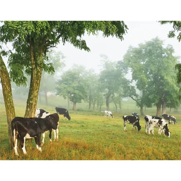 Products America's Bounty Appointment Calendar - Stapled - Products America's Bounty Appointment Calendar - Stapled - Image 21 of 31