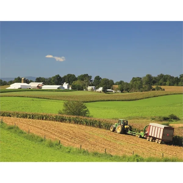 Products America's Bounty Appointment Calendar - Stapled - Products America's Bounty Appointment Calendar - Stapled - Image 27 of 31