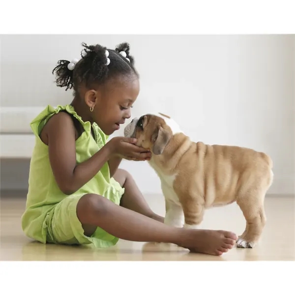 Products Everyday Celebrations Appointment Calendar - Sta... - Products Everyday Celebrations Appointment Calendar - Sta... - Image 21 of 30