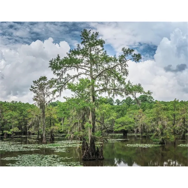 Products Texas Appointment Calendar - Stapled - Products Texas Appointment Calendar - Stapled - Image 22 of 31