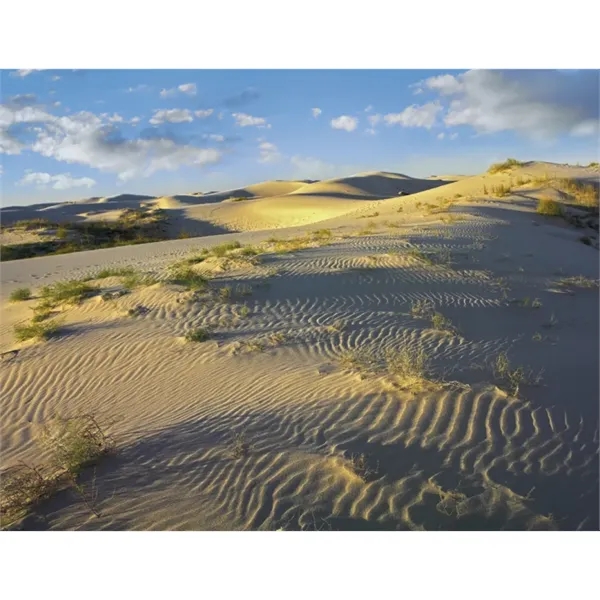 Products Texas Appointment Calendar - Stapled - Products Texas Appointment Calendar - Stapled - Image 25 of 31