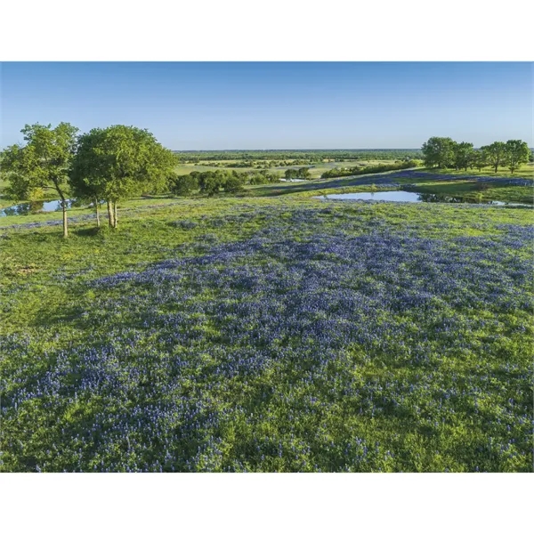 Products Texas Appointment Calendar - Stapled - Products Texas Appointment Calendar - Stapled - Image 26 of 31