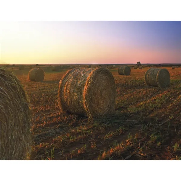 Products Texas Appointment Calendar - Stapled - Products Texas Appointment Calendar - Stapled - Image 29 of 31