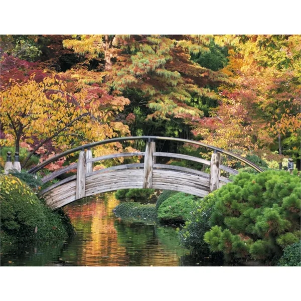 Products Texas Appointment Calendar - Stapled - Products Texas Appointment Calendar - Stapled - Image 30 of 31