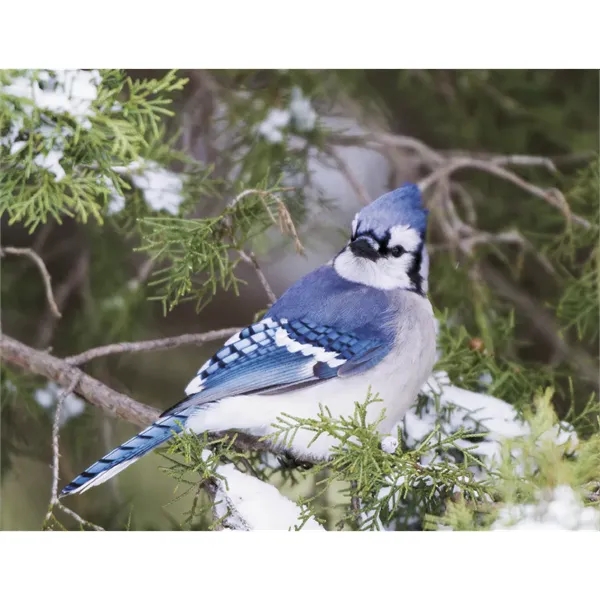 Products Songbirds Appointment Calendar - Stapled - Products Songbirds Appointment Calendar - Stapled - Image 20 of 31