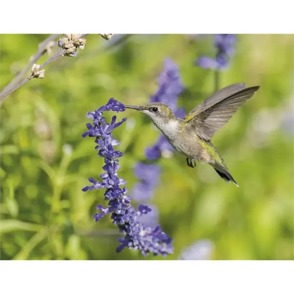 Products Songbirds Appointment Calendar - Stapled - Products Songbirds Appointment Calendar - Stapled - Image 27 of 31