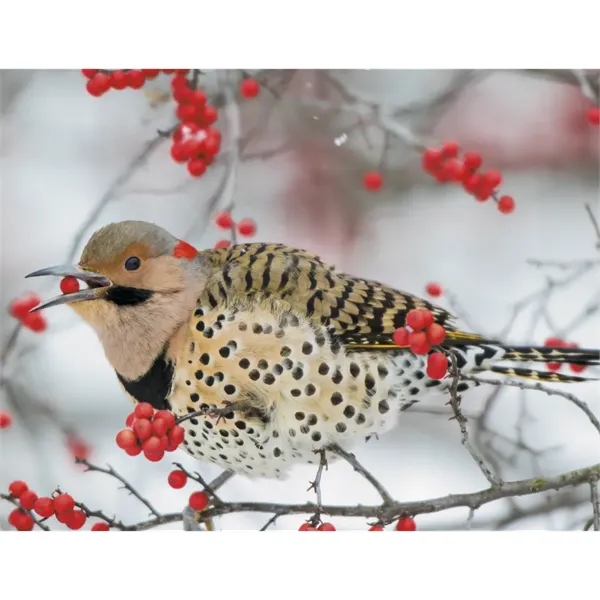 Products Songbirds Appointment Calendar - Stapled - Products Songbirds Appointment Calendar - Stapled - Image 31 of 31