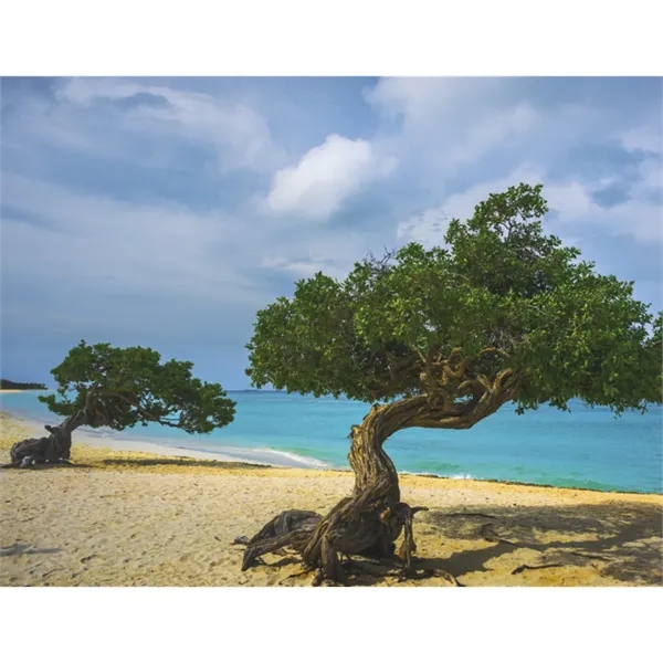 Products Beaches Appointment Calendar - Stapled - Products Beaches Appointment Calendar - Stapled - Image 34 of 35