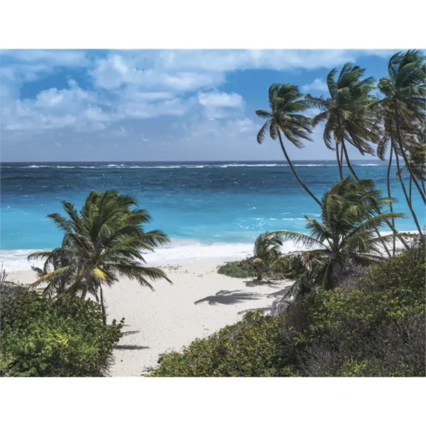 Products Beaches Appointment Calendar - Stapled - Products Beaches Appointment Calendar - Stapled - Image 35 of 35