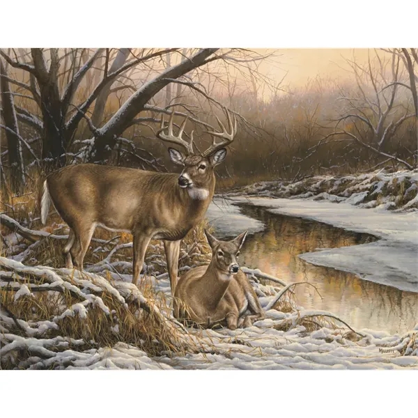 Products Wildlife Collection Appointment Calendar - Stapled - Products Wildlife Collection Appointment Calendar - Stapled - Image 20 of 31