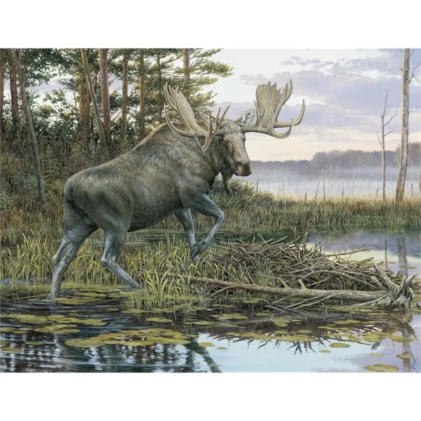 Products Wildlife Collection Appointment Calendar - Stapled - Products Wildlife Collection Appointment Calendar - Stapled - Image 22 of 31