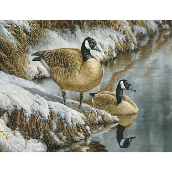 Products Wildlife Collection Appointment Calendar - Stapled - Products Wildlife Collection Appointment Calendar - Stapled - Image 30 of 31